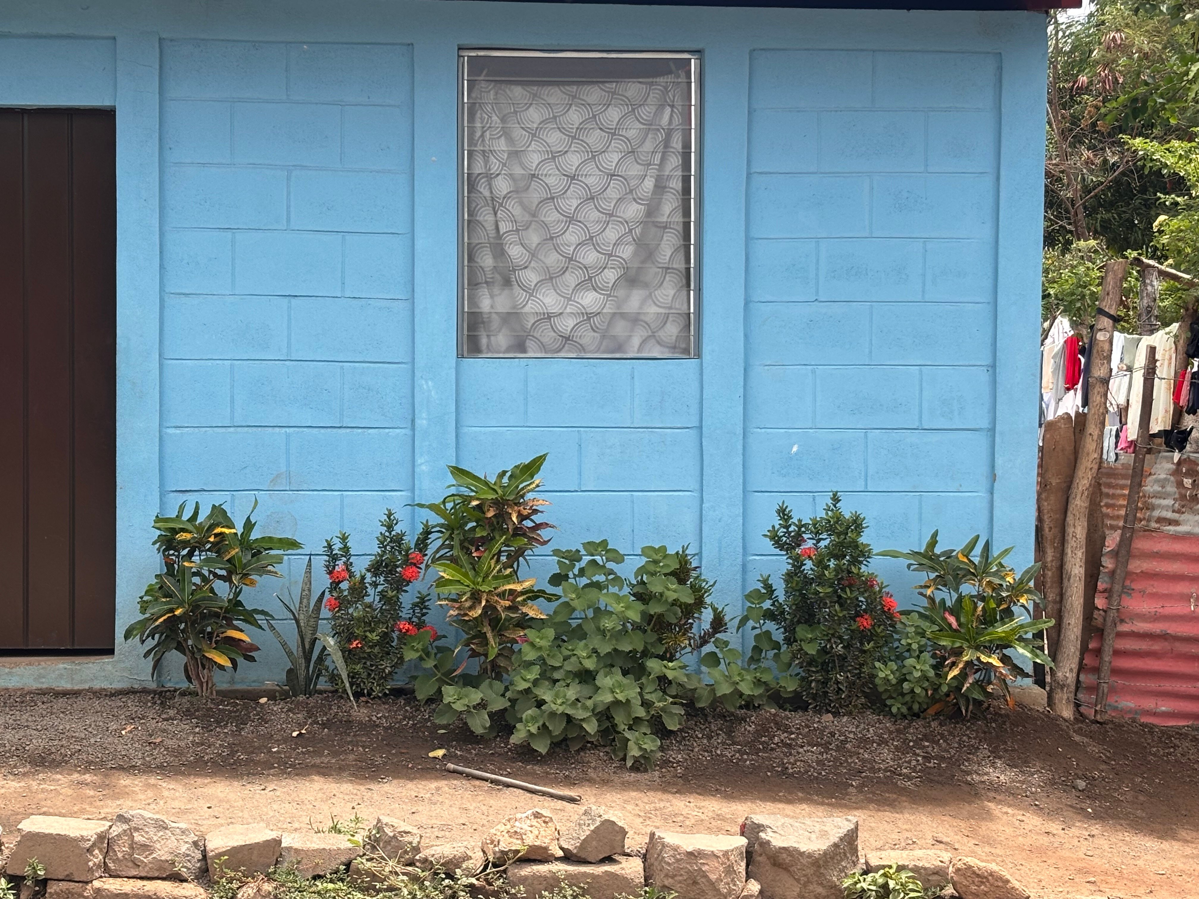 Nicargua Brain Dump (but the second time around)